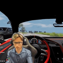 Crazy Driver Video Game GIF