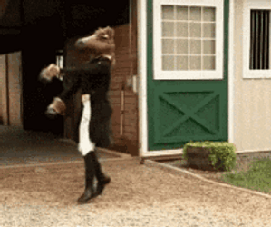 Crazy Head Pommel Horse Mask GIF