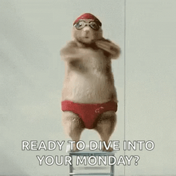 Crazy Monday Beaver Dancing GIF