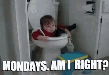 Crazy Monday Of Baby Sitting In The Toilet GIF