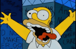 Crazy Person Homer Simpson GIF