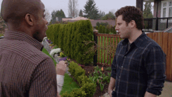 Crazy Person Shawn GIF