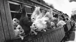 Crazy Train Dolls GIF