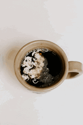 Creamy Black Coffee