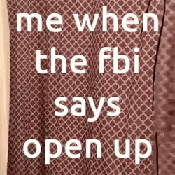Creative Art When Fbi Open Up Meme GIF