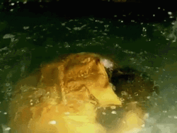 Creed Band Soaked Drenched In Water GIF