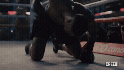 Creed II Boxing Ring GIF