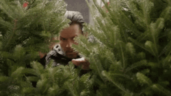 Creep Fine Tree Johnny Rose GIF