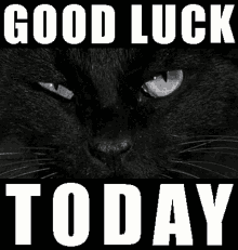 Creepy Black Cat Memes Good Luck Today GIF