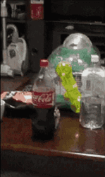 Creepy Cute Hamster Stalker GIF