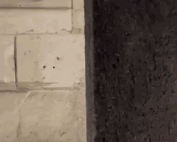 Creepy Guy Suspicious Look GIF