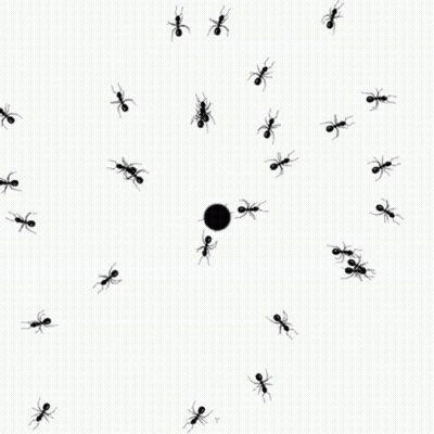 Creepycrawlies Everywhere GIF