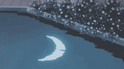 Crescent Moon Floating In Pool Water GIF