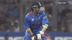 Cricket GIF