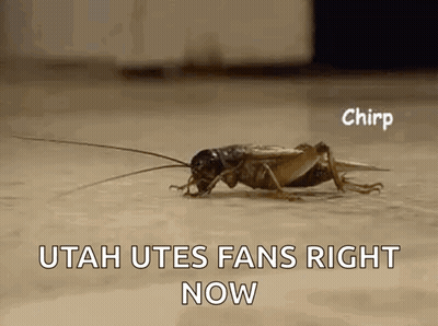 Cricket Crawling With Utah Utes Fans Right Now GIF