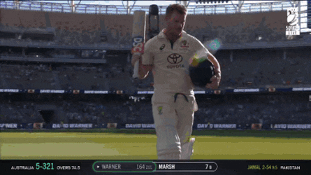 Cricket David Warner GIF