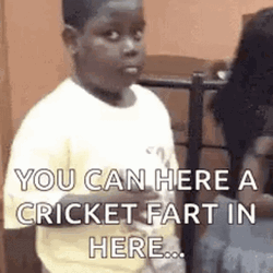 Cricket Fart Quiet GIF