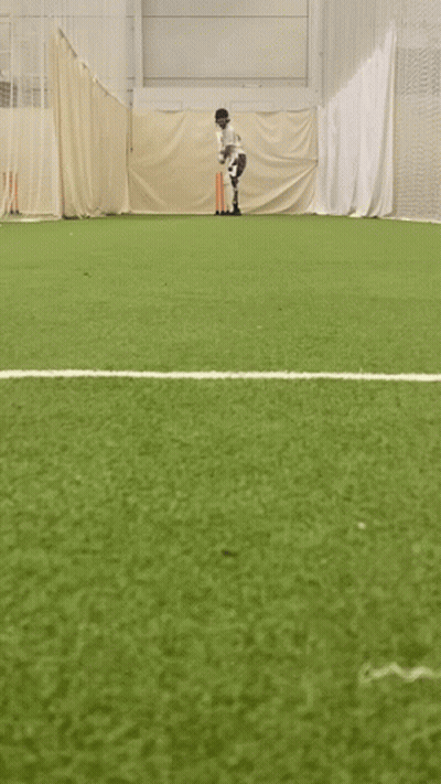 Cricket Field With White Line GIF
