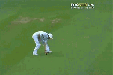 Cricket Fielder Quickly Throws The Ball Back GIF