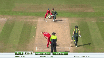 Cricket Fielding Team Scored GIF