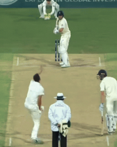 Cricket Game In Front Of Experian Global Invest Sign GIF