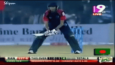 Cricket Game Played 19 UK GIF