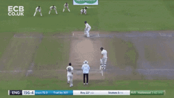 Cricket Jason Roy Celebrates GIF