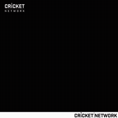 Cricket Player Standing On Field GIF