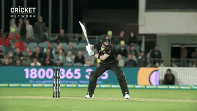 Cricket Player Swinging Bat At Wicket With Sign 1800 365 33 GIF