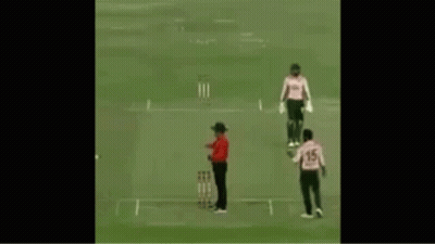 Cricket Players Standing On Field GIF