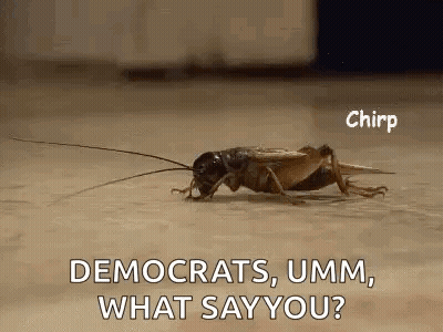 Cricket Saying Democrats Umm What Say You GIF