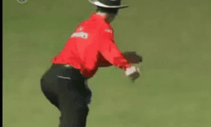 Cricket Umpire Four Signal GIF