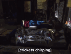 Crickets Chirping Bed Time GIF