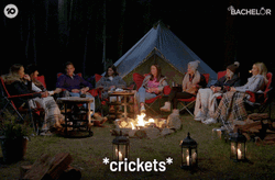 Crickets Chirping Camp Fire GIF