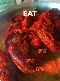 Crickets Dinner Served GIF