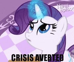 Crisis Averted My Little Pony Rarity GIF