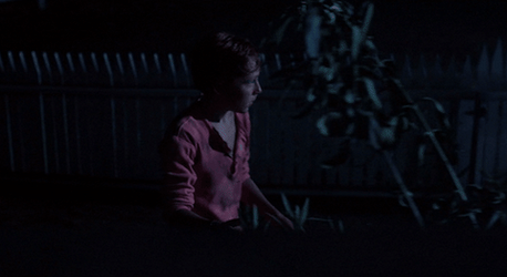 Critters Hiding In The Dark GIF