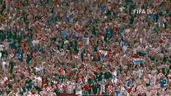 Croatia Fans Celebrating