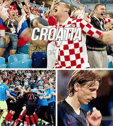 Croatia FIFA World Cup Celebration GIF