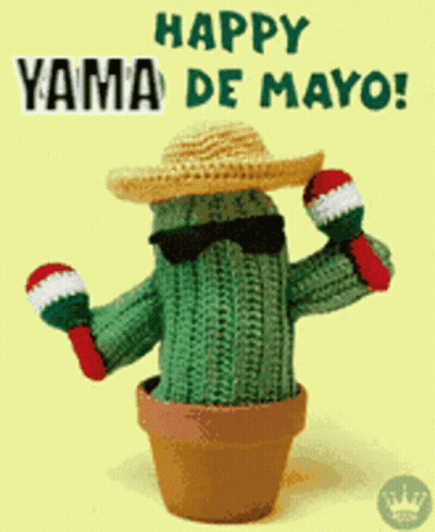 Crocheted Cactus Wearing Sombrero And Sunglasses Holding Maracas GIF