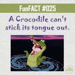 Crocodile Can't Stick Tongue Out GIF