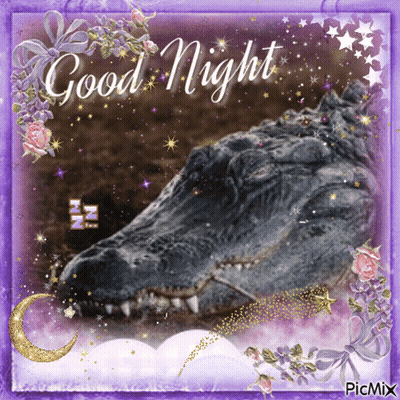 Crocodile Saying Good Night GIF