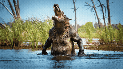 Crocodile Standing In Swamp With Mouth Open GIF