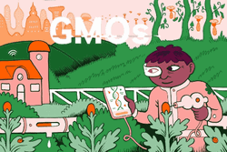 Crop Bioengineered Food GMO's GIF