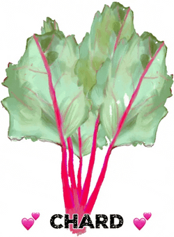 Crop Chard Vegetable GIF