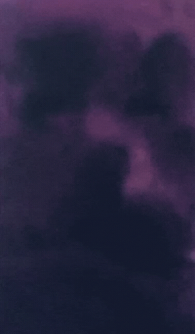 Cross With Butterfly And Twitter Logo GIF