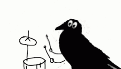 Crow Drums Ba Dum Tsss GIF