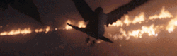 Crow Flying Through Flames GIF
