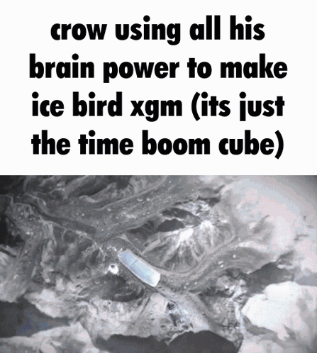 Crow Using All His Brain Power To Make Ice Bird Xgm ( Its Just The Time Boom Cube ) GIF