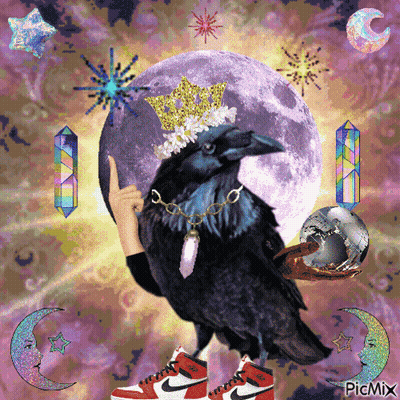 Crow Wearing Crown And Nike Sneakers GIF